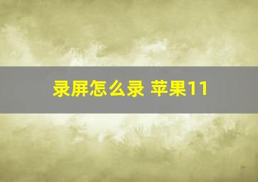 录屏怎么录 苹果11